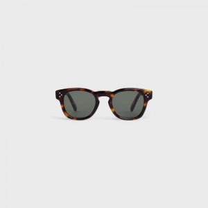 Lunette de Soleil Celine Frame 42 In Acetate Marron | CL-591743