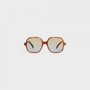 Lunette de Soleil Celine Oversized S244 In Acetate Marron | CL-592434