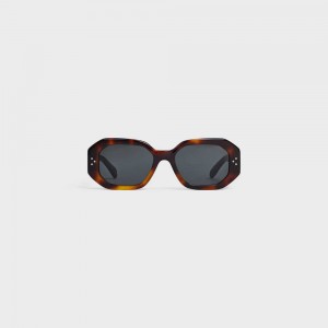 Lunette de Soleil Celine Square S255 In Acetate Marron | CL-592402