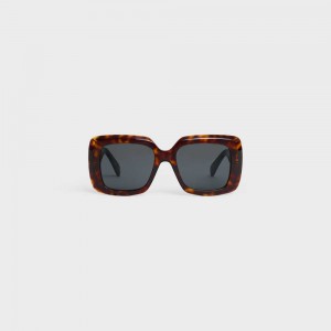 Lunette de Soleil Celine Square S263 In Acetate Marron | CL-592376