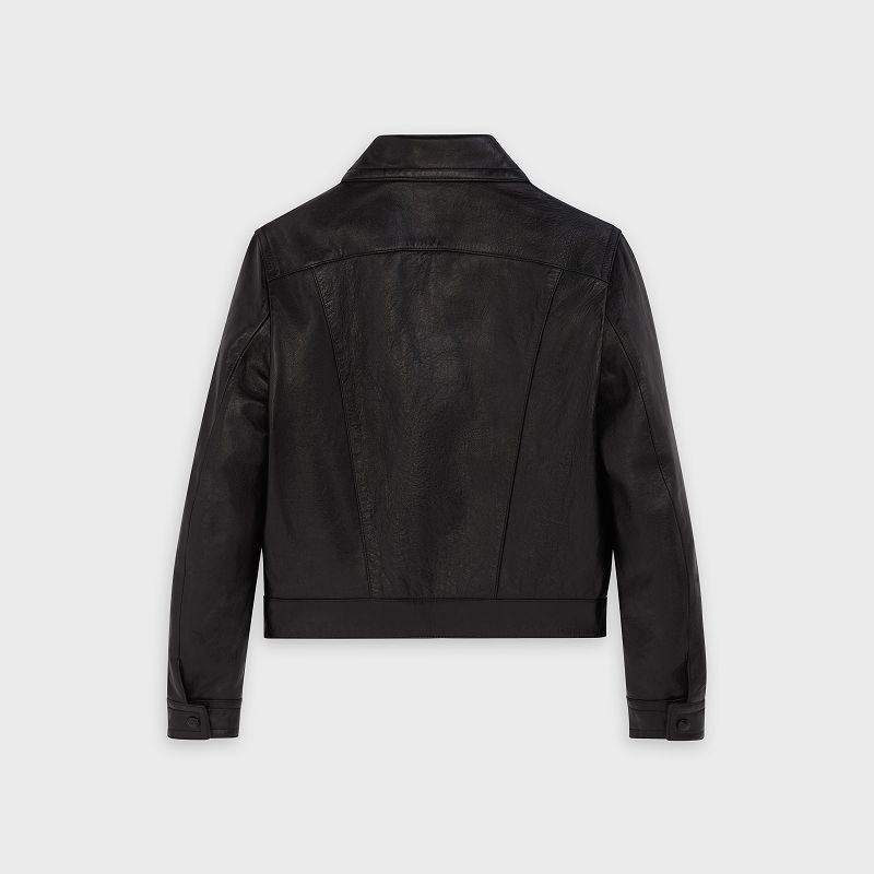 Leather Celine Paul Blouson In Noir | CL-591920