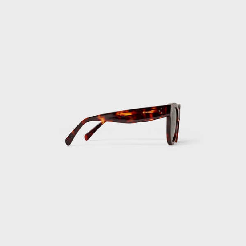 Lunette de Soleil Celine Cat Eye S003 In Acetate With Mineral Glass Lenses Marron | CL-592426