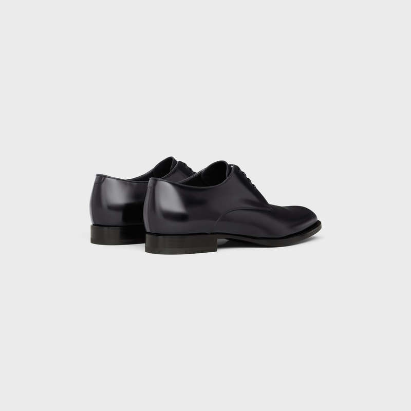 Mocassin Celine Tuxedo Derby In Polished Bullskin Noir | CL-591883