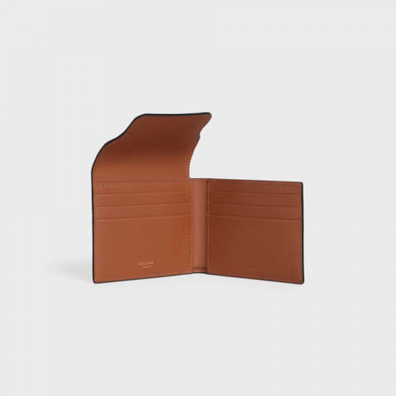 Portefeuilles Celine Flap Origami In Triomphe Tela And Marron | CL-591797