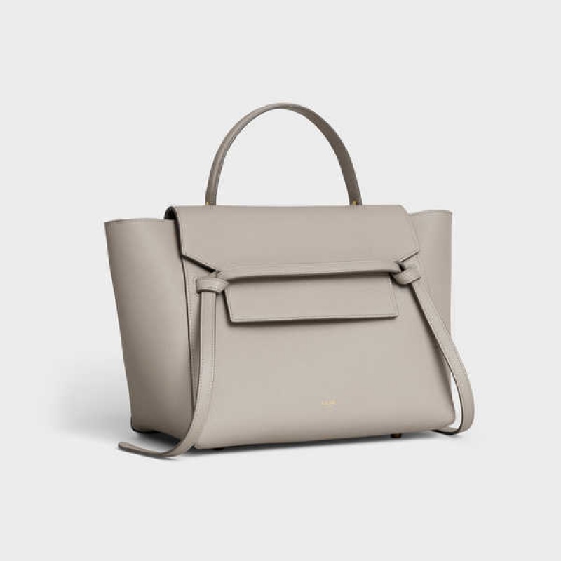 Sac Banane Celine Mini In Grained Calfskin Grise Clair Marron | CL-593066