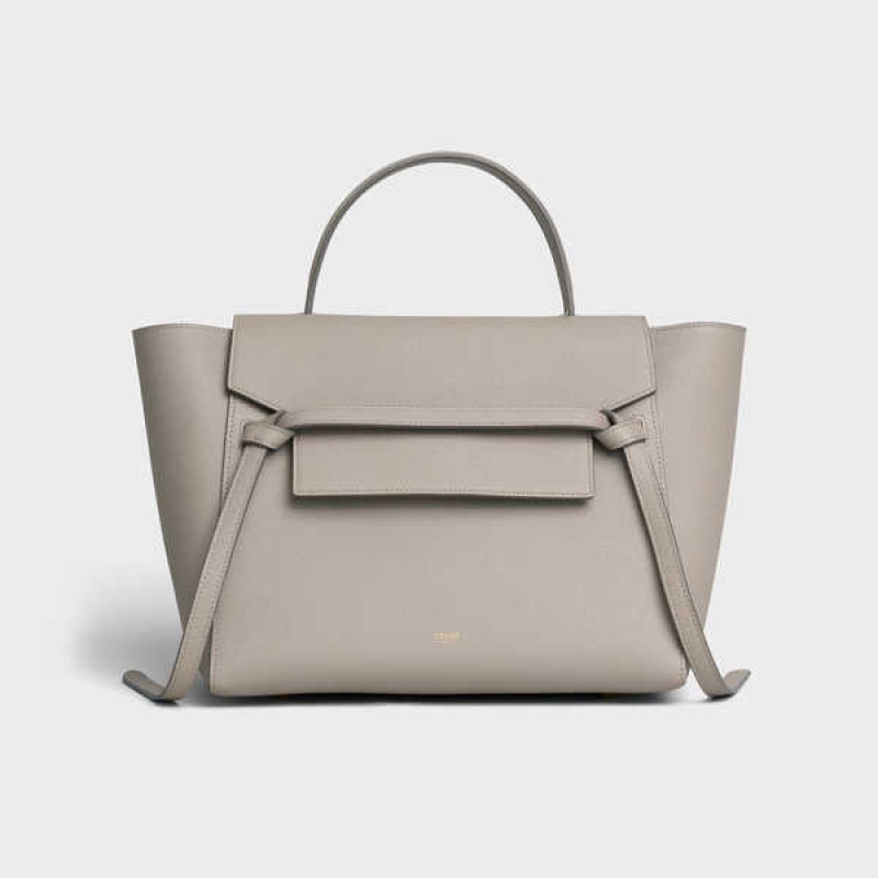 Sac Banane Celine Mini In Grained Calfskin Grise Clair Marron | CL-593066