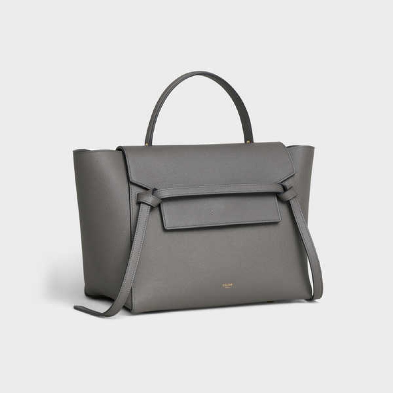 Sac Banane Celine Mini In Grained Calfskin Grise | CL-593065